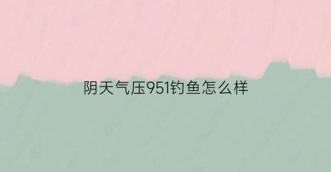 “阴天气压951钓鱼怎么样(阴天气压1005百帕钓鱼好钓吗)