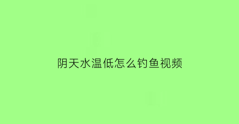 阴天水温低怎么钓鱼视频