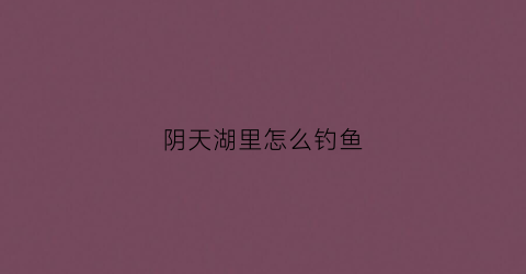 阴天湖里怎么钓鱼(阴天钓鱼在哪里钓最好)
