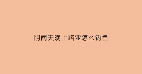 “阴雨天晚上路亚怎么钓鱼(阴雨天气路亚怎么样)