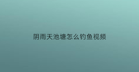 阴雨天池塘怎么钓鱼视频