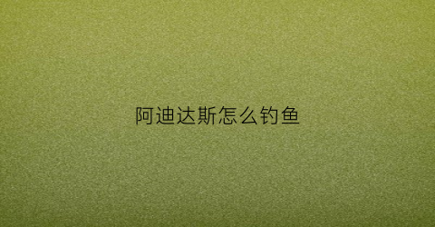 阿迪达斯怎么钓鱼(阿迪达斯zxalkyne)