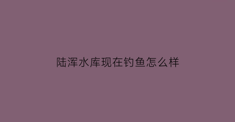 陆浑水库现在钓鱼怎么样(陆浑水库现在还开放吗)