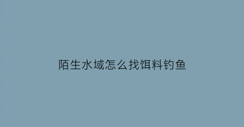 陌生水域怎么找饵料钓鱼