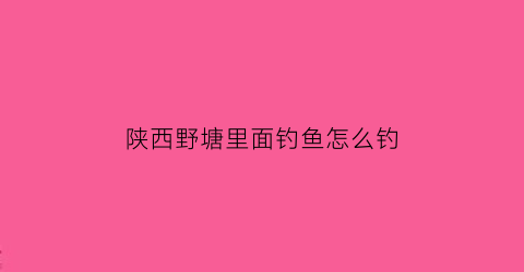 陕西野塘里面钓鱼怎么钓(陕西野塘里面钓鱼怎么钓视频)