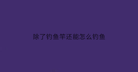 “除了钓鱼竿还能怎么钓鱼(除了钓鱼竿还能怎么钓鱼呢)