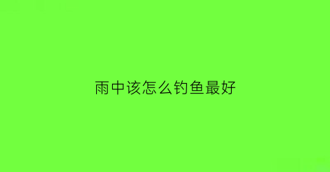 雨中该怎么钓鱼最好(雨中钓鱼鱼口好不好)
