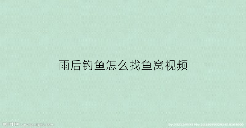 雨后钓鱼怎么找鱼窝视频(雨后钓位)