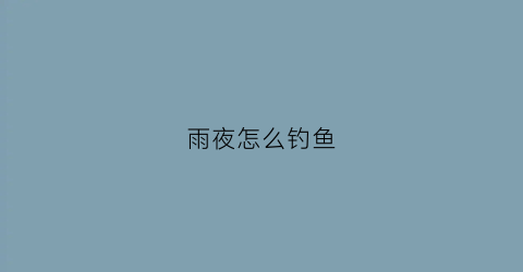雨夜怎么钓鱼(雨夜怎么钓鱼最好)