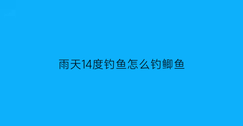 雨天14度钓鱼怎么钓鲫鱼(下雨天好不好钓鱼10度至13度)