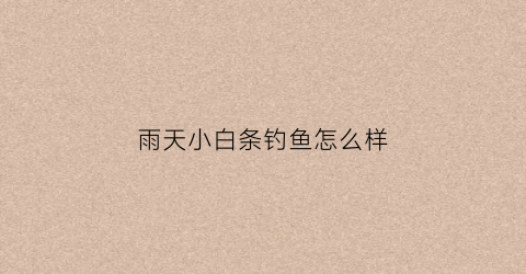 雨天小白条钓鱼怎么样(下小雨钓白条)