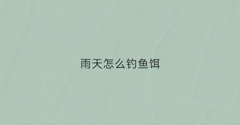 雨天怎么钓鱼饵(雨天钓鱼用什么饵料)