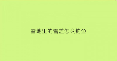 雪地里的雪盖怎么钓鱼(雪地里的雪盖怎么钓鱼视频)