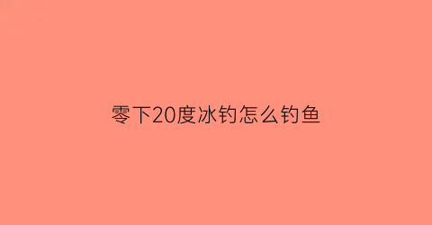 零下20度冰钓怎么钓鱼(零下20度能钓鱼吗)