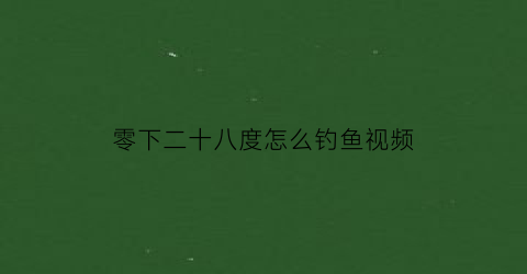 零下二十八度怎么钓鱼视频(20度以下怎么钓鱼)