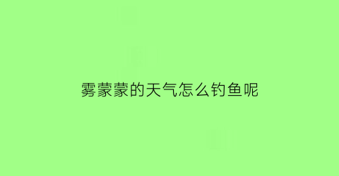雾蒙蒙的天气怎么钓鱼呢(雾天怎么钓鱼)