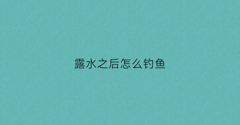 露水之后怎么钓鱼(露水一般什么时候消失)
