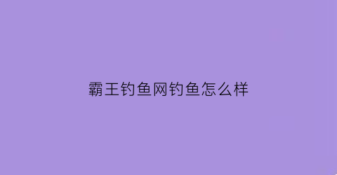 “霸王钓鱼网钓鱼怎么样(霸王钓鱼网钓鱼怎么样好用吗)