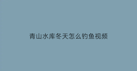 青山水库冬天怎么钓鱼视频(青山水库冬天怎么钓鱼视频教程)
