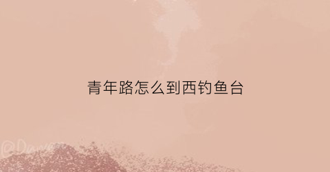 青年路怎么到西钓鱼台(西钓鱼台到四季青桥南怎么走)