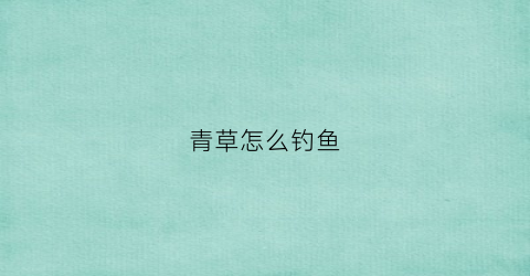青草怎么钓鱼(青草怎么钓鱼效果好)