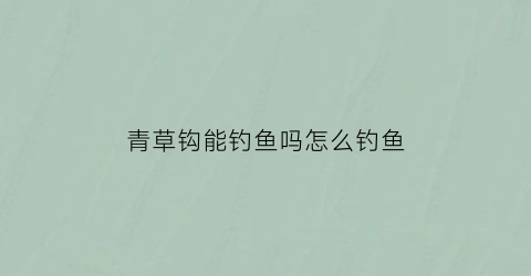 “青草钩能钓鱼吗怎么钓鱼(用青草钓草鱼挂钩视频)