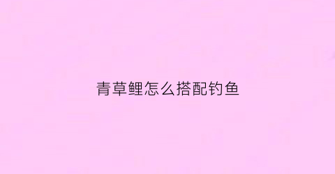 青草鲤怎么搭配钓鱼
