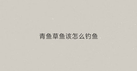青鱼草鱼该怎么钓鱼(青鱼草鱼该怎么钓鱼视频)