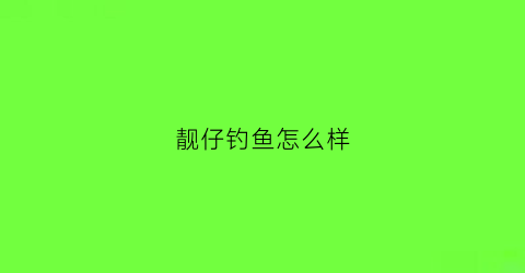 靓仔钓鱼怎么样(靓仔科技有限公司)