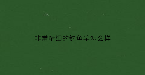 非常精细的钓鱼竿怎么样(精细钓组)