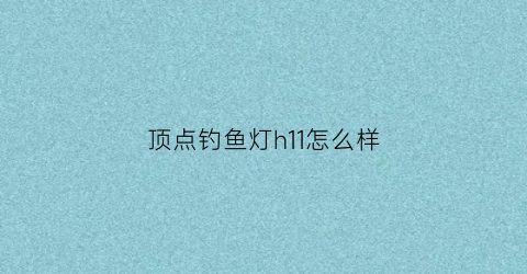 “顶点钓鱼灯h11怎么样(顶点钓灯哪款性价比高)