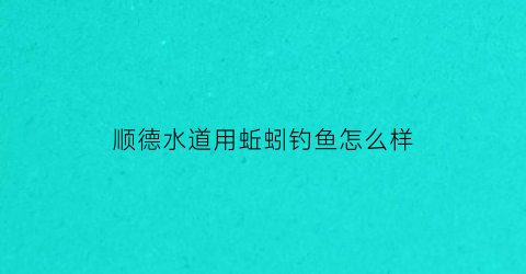 顺德水道用蚯蚓钓鱼怎么样(顺德水道用蚯蚓钓鱼怎么样呀)