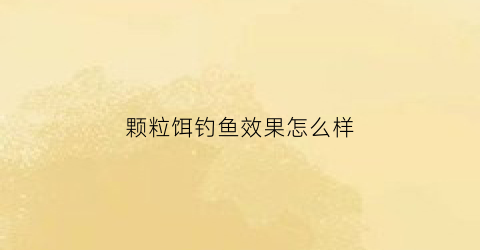颗粒饵钓鱼效果怎么样(颗粒饵能钓小鱼吗)
