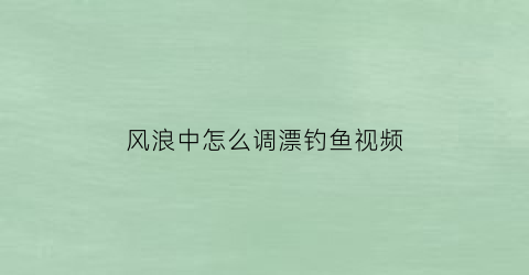 风浪中怎么调漂钓鱼视频(风浪大时怎么调漂)