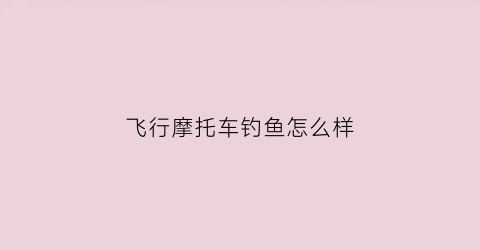 飞行摩托车钓鱼怎么样(飞行摩托怎么飞)