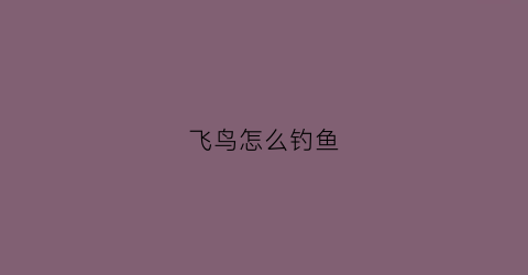 飞鸟怎么钓鱼(飞鸟怎么驯服)