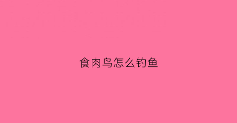 食肉鸟怎么钓鱼(食肉鸟怎么钓鱼最好)