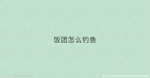 饭团怎么钓鱼(饭团怎么钓鱼视频)