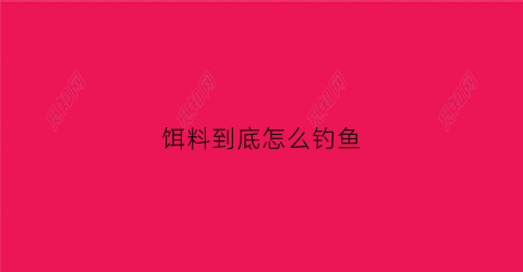 饵料到底怎么钓鱼