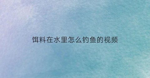 “饵料在水里怎么钓鱼的视频(饵料在水下的状态)