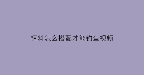 饵料怎么搭配才能钓鱼视频