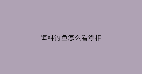 “饵料钓鱼怎么看漂相(商品饵怎么看漂)