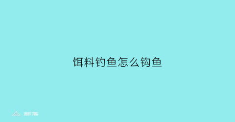 “饵料钓鱼怎么钩鱼(饵料钩法)