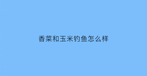 香菜和玉米钓鱼怎么样(香菜和玉米钓鱼怎么样好吃吗)