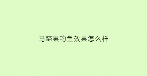 马蹄果钓鱼效果怎么样(马蹄果钓鱼效果怎么样视频)
