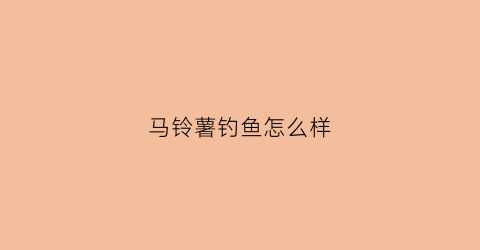 马铃薯钓鱼怎么样(马铃薯钓鱼怎么样才能钓到)