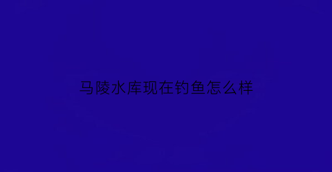 马陵水库现在钓鱼怎么样(马陵水库让钓鱼吗)
