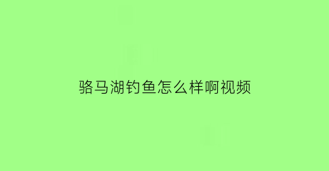 骆马湖钓鱼怎么样啊视频