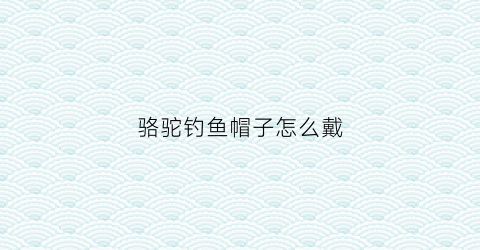骆驼钓鱼帽子怎么戴(骆驼牌子的帽子)