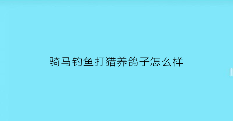 “骑马钓鱼打猎养鸽子怎么样(骑马钓鱼在哪个平台)